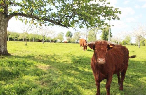 Champosoult House | Maison normande rénovée avec jardin et animaux admis - FR-1-497-27