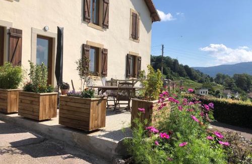Saint-Nabord Apartment | Maison rénovée près des Hautes Vosges, idéale pour activités nature - FR-1-589-696