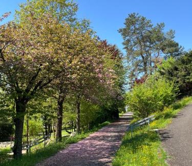 Delemont Hotel | Maison st-françois