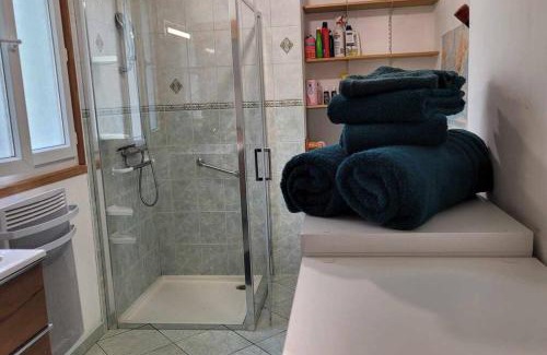 Saulxures-sur-Moselotte Apartment | Maison Victorine.
