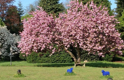 Cirey-sur-Vezouze House | maisonMazerand Living - Relaxing - Enjoying