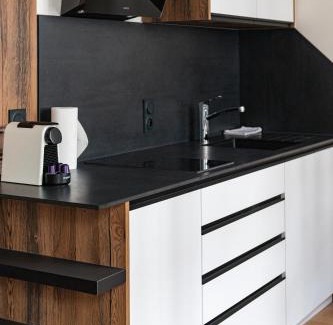 Puvis De Chavannes - Le Lycee Apartment | Make My Day 61, rue Sully