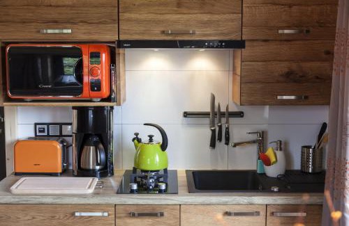 Witow Cabin | Maki Domki Regionalne