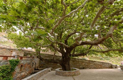 Grambia Apartment | Makronas Apartments