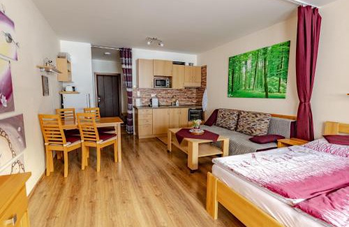 Ruzomberok Apartment | Malino Resort & Residences - Fatrapark 2 Apartments