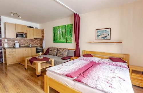 Ruzomberok Apartment | Malino Resort & Residences - Fatrapark 2 Apartments
