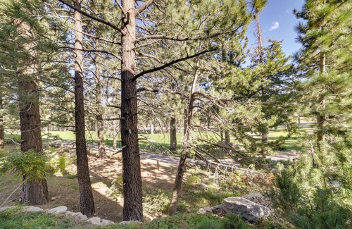 Mammoth Lakes Apartment | Mammoth Lakes Condo w/Fireplace: Near Skiing!