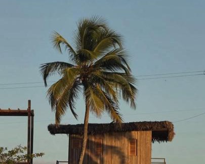 Tatajuba Cabin | Mangal Amaniū