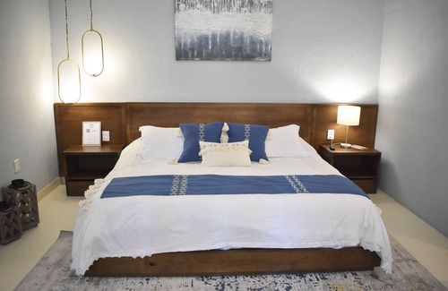 Zona Centro House | Mansion San Miguel