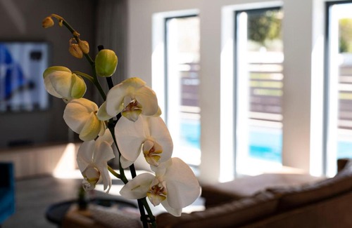 Vrvari Villa | MarCante designer family villa with a pool