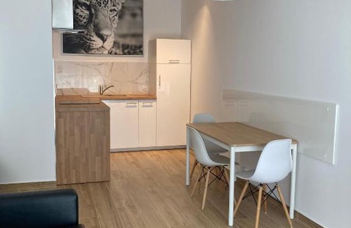 Grunwald Apartment | Marcelin Apartments Poznań