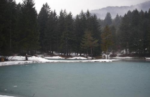 Calalzo di Cadore Apartment | Margiolà Dolomiti