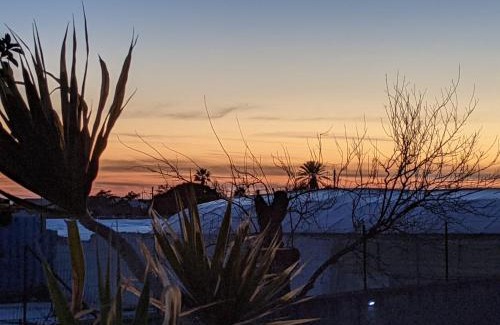 Punta Braccetto Apartment | Margus