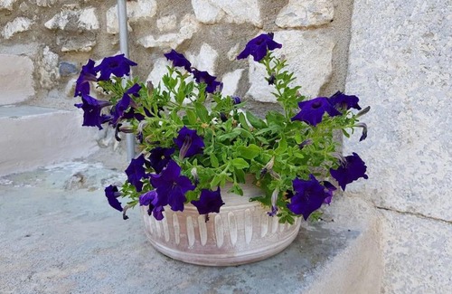 Thalames House | MARIA'S Rustic stonehouse in traditional village