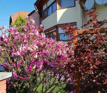Buk Apartment | Marina-Bük Apartmanház