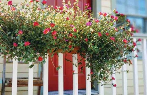 Historic District - North Cottage | Mariner’s Cottage - 2BD, 1 BA - in Historic District w Private Parking