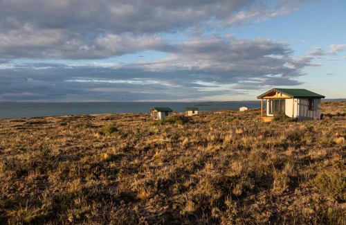 Bahia Bustamante Other | Marisma Camps