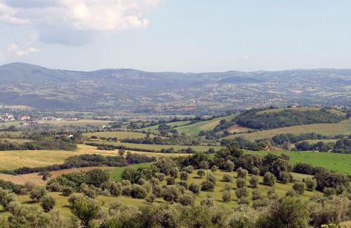 Campagnatico House | Marrucheti 82