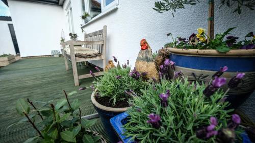 Thornaby On Tees House | Marvene