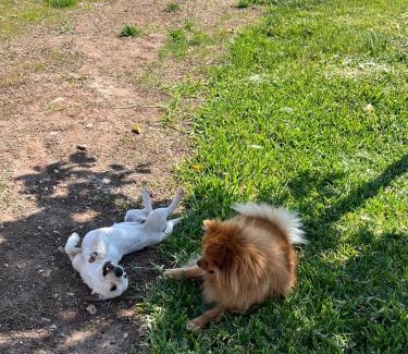 Giurdignano House | Masseria Causio