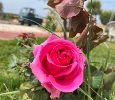 Giurdignano House | Masseria Causio