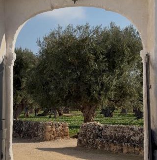 L'Assunta Apartment | Masseria Mammella