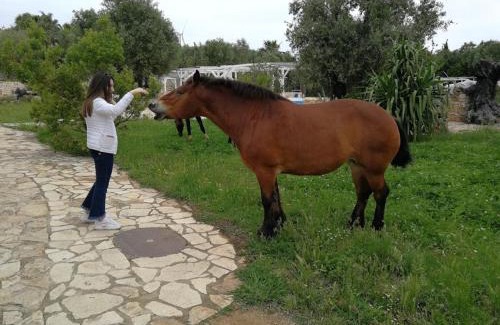 Villa Castelli House | Masseria Sciaiani Piccola