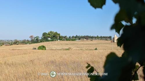 Trepuzzi House | Masseria Vigneri - Già Casino Vigneri