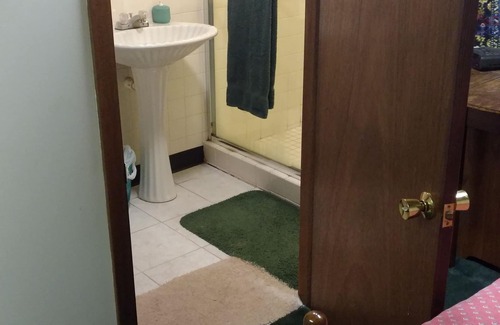 Minneapolis House | Master suite in basement of single family home.