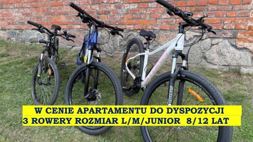 Warmia-Masuria Province Apartment | Mazurski Apartament