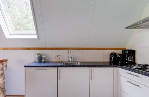 Zwiggelte House | Meadow Pipit I Detached Chalet with Broad Garden