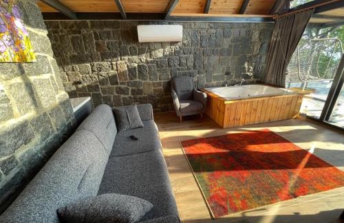 Ardesen Apartment | Mejgure Taş Evleri