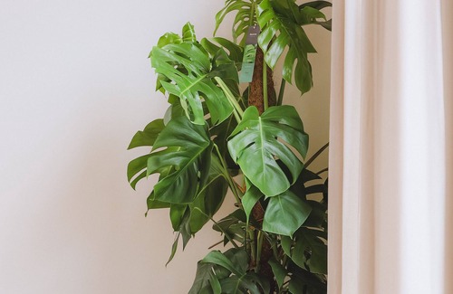 Antwerp House | Mellow Antwerp: Luxurious home for 10 in the city center