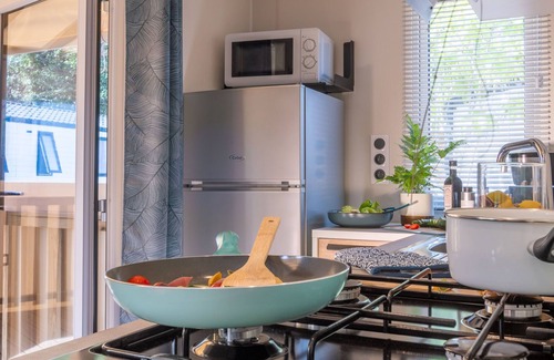 Aubigny-les-Clouzeaux House | Mer & Campagne | Piscine & Lagon | Mobil-home 4p