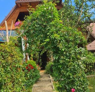 Rabe House | Miętowy Anioł