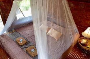 Mai Khao House | Micky Monkey Beach Hotel Phuket Maikhao Thailand