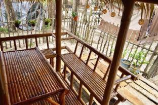 Mai Khao House | Micky Monkey Beach Hotel Phuket Maikhao Thailand