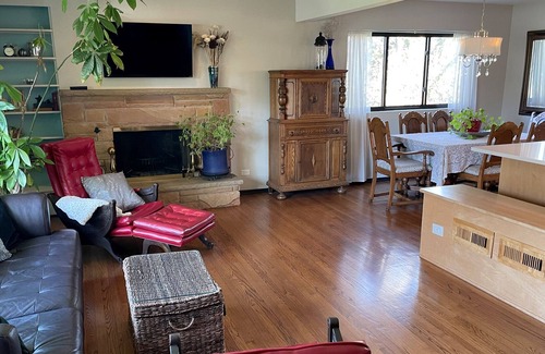 Downers Grove House | Mid Century Modern close to Downtown