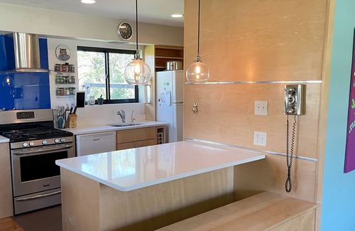 Downers Grove House | Mid Century Modern close to Downtown