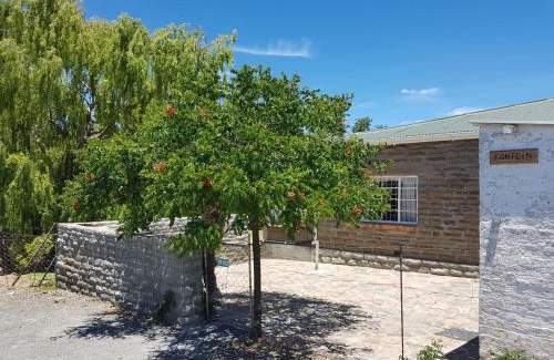 Karoo Hoogland Bed & Breakfast | Middelfontein Farm