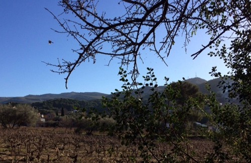 Allauch House | Middle Village and Logis Neuf - 13190 ALLAUCH Provence