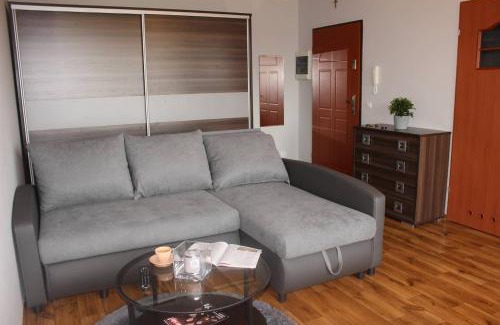 Dobrzen Wielki Apartment | Mieszkanie na uboczu Dobrzeń Wielki