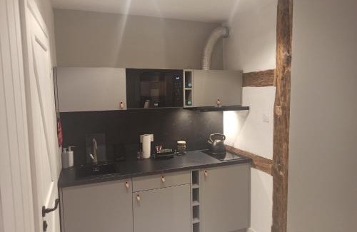 Paslek Apartment | Mieszkanie w Kamienicy 4C