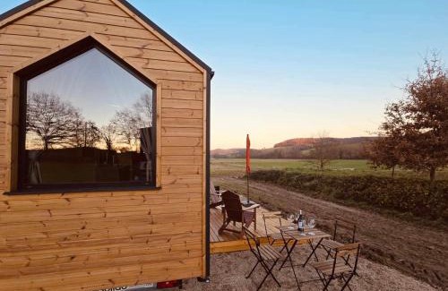 Escazeaux House | Mighty Fins Retreat X by Tiny Away