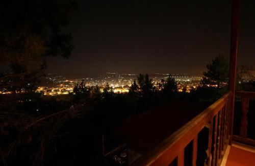 Grevena Hotel | Milionis Forest Hotel