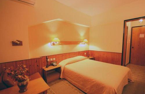 Grevena Hotel | Milionis Forest Hotel