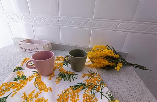 Talavera de la Reina Apartment | Mimosa Home