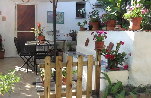 Dragonea House | mimosas at the beginning of the Amalfi coast