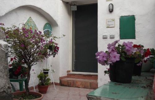 Dragonea House | mimosas at the beginning of the Amalfi coast