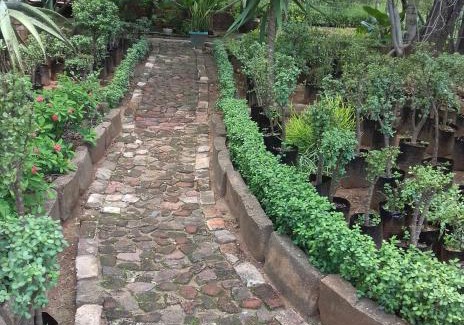 Mogalakwena Apartment | Minverwag Bush Camp